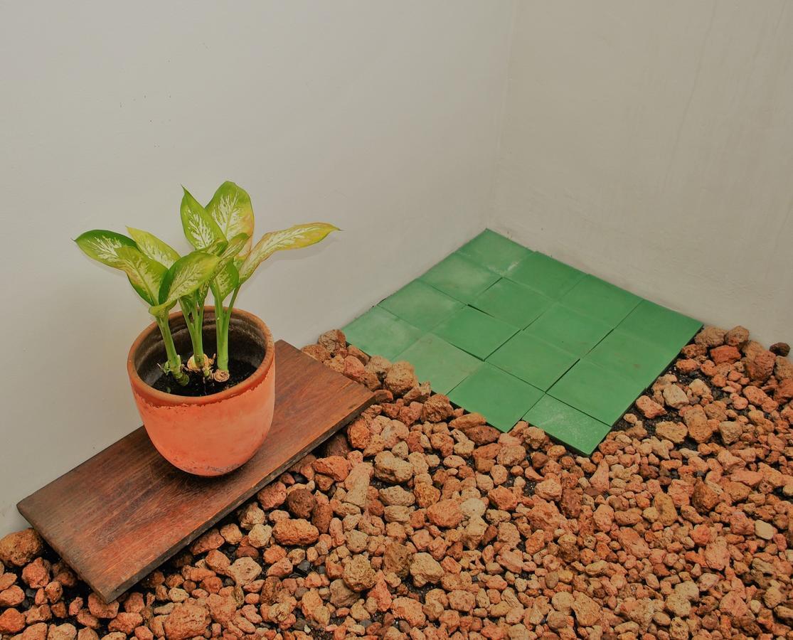 グラナダ Casa Calalaアパートホテル エクステリア 写真